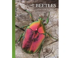 KNYGA Arthur V Evans The Lives of Beetles