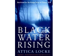 KNYGA Attica Locke Juodas Vanduo Rising