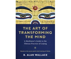 KNYGA B Alan Wallace Art of Transforming the Mind