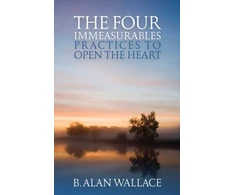 KNYGA B Alan Wallace Four Immeasurables