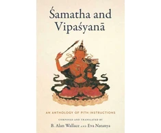 KNYGA B Alan Wallace Samatha and Vipasyana