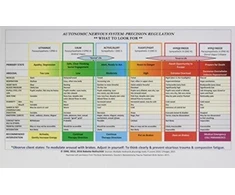 KNYGA Babette Rothschild Autonomic Nervous System Table: Laminated Card