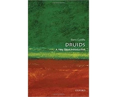 KNYGA Barry W Cunliffe Druids