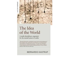 KNYGA Bernardo Kastrup Idea of the World, The