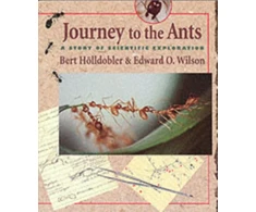 KNYGA Bert Hlldobler Journey to the Ants