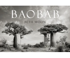 KNYGA Beth Moon Baobab