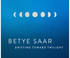 KNYGA Betye Saar: Drifting toward Twilight
