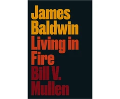 KNYGA Bill V Mullen James Baldwin
