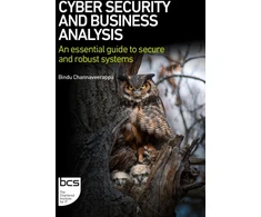 KNYGA Bindu Channaveerappa Cyber Security and Business Analysis