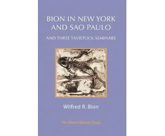 KNYGA Bion Et Al Bion in New York and Sao Paulo