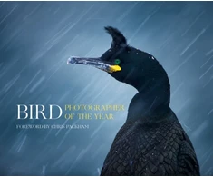 KNYGA Bird Photographer of the Year