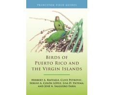 KNYGA Birds of the West Indies Herbert A. Raffaele Birds of Puerto Rico and the Virgin Islands