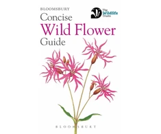 KNYGA Bloomsbury Usa Concise Wild Flower Guide