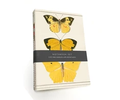 KNYGA Bodleian Library Butterfly Notebook Set