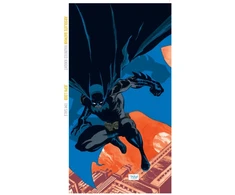 KNYGA Bookshop Absolute Batman: Haunted Knight