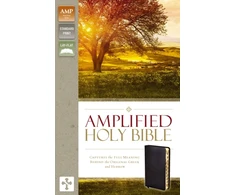 KNYGA Bookshop Amplified Holy Bible, Bonded Leather, Juodas, Thumb Indexed