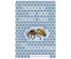 KNYGA Bookshop Anatomy of the Honey Bee