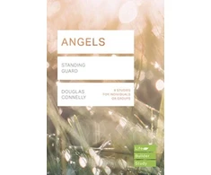 KNYGA Bookshop Angels (Lifebuilder Study Guides)