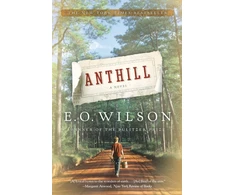 KNYGA Wilson Anthill