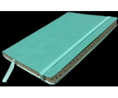 KNYGA Bookshop Ashridge A5 Elastic Pu Notebook Mint Žalias 5566-1