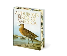 KNYGA Bookshop Audubon's Birds of America