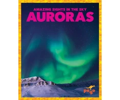 KNYGA Jane P Gardner Auroras