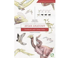 KNYGA Bookshop Avian Anatomy 2nd Edition