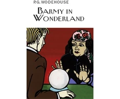 KNYGA Bookshop Barmy in Wonderland