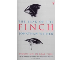 KNYGA Bookshop Beak Of The Finch