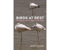 KNYGA Roger Pasquier Birds at Rest