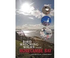 KNYGA John Birdwatching Walks Around Morecambe Bay