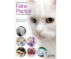 KNYGA Bookshop BSAVA Manual of Feline Practice
