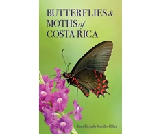 KNYGA Luis Ricardo Murillo-Hiller Butterflies and Moths of Costa Rica