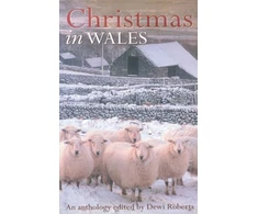 KNYGA Bookshop Christmas in Wales