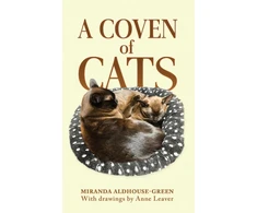 KNYGA Bookshop Coven of Cats