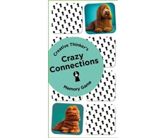 KNYGA Bookshop Creative Thinkers: Crazy Memory Game