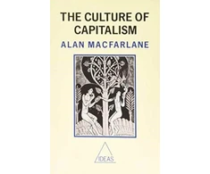 KNYGA ALAN Culture of Capitalism