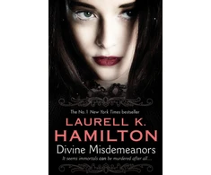 KNYGA Bookshop Divine Misdemeanors