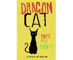 KNYGA Bookshop Dragon Cat