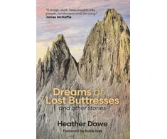 KNYGA Bookshop Dreams of Lost Buttresses