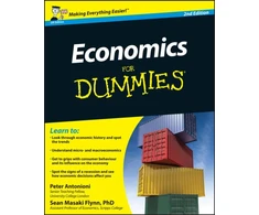 KNYGA Bookshop Economics For Dummies, UK Edition