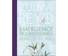 KNYGA Bookshop Emergence Of Consciousness