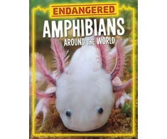 KNYGA Bookshop Endangered Amphibians Around the World
