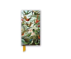 Bookshop Ernst Haeckel: Hummingbirds (Foiled Slimline Journal)