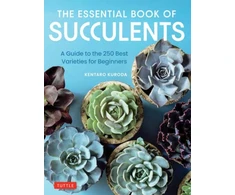 KNYGA Kentaro Kuroda The Essential Book of Succulents