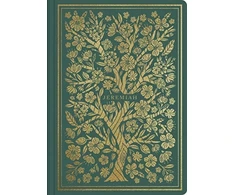 KNYGA Bookshop ESV Illuminated Scripture Journal