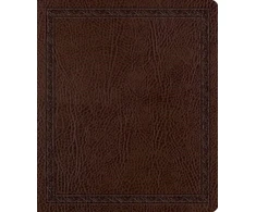 KNYGA Bookshop ESV Journaling Bible