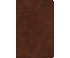KNYGA Bookshop ESV Large Print Bible