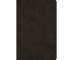 KNYGA Bookshop ESV Large Print Bible