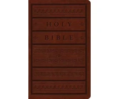 KNYGA Bookshop ESV Large Print Personal Size Bible, Raudona Letter